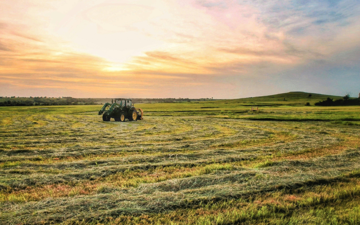 What Happens to a CRP Contract When Land Sells? A Guide for Texas Land Buyers and Sellers